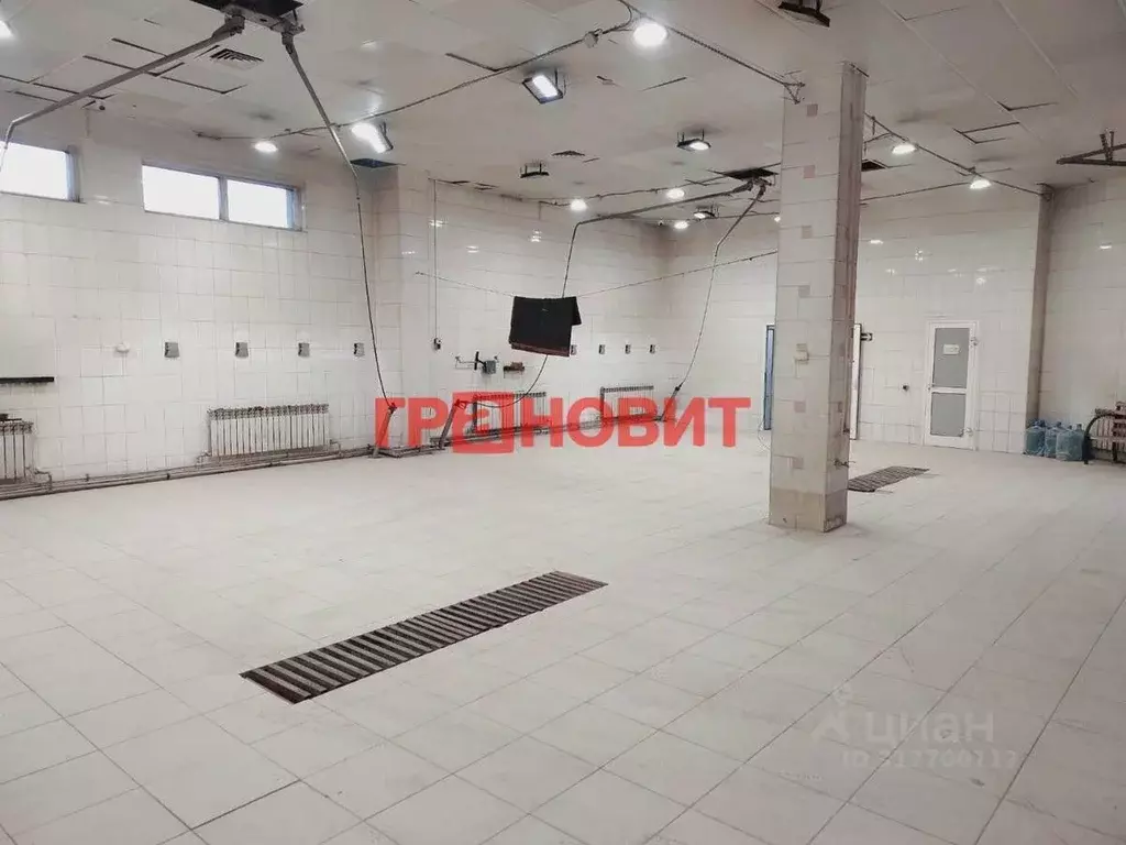 Помещение свободного назначения в Новосибирская область, Новосибирск ... - Фото 1