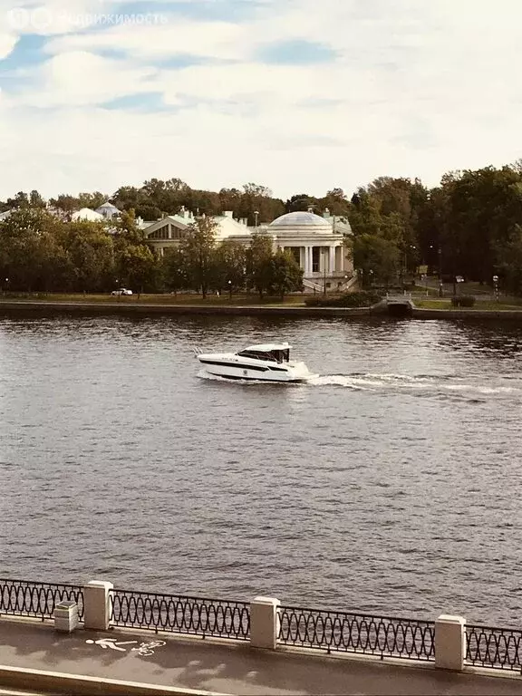 Квартира-студия: Санкт-Петербург, Приморский проспект, 6 (16.5 м) - Фото 0