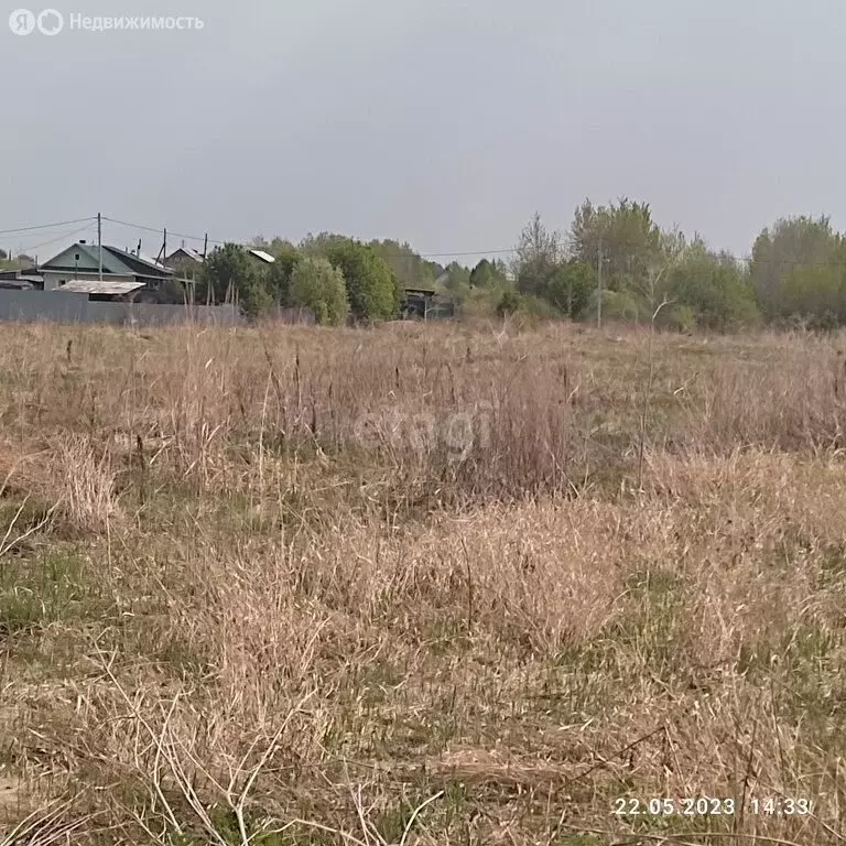 Участок в Алапаевск, переулок Владислава Крапивина (8.1 м) - Фото 1