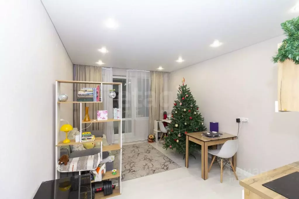 Студия Тюменская область, Тюмень ул. Василия Малкова, 12 (27.4 м) - Фото 1