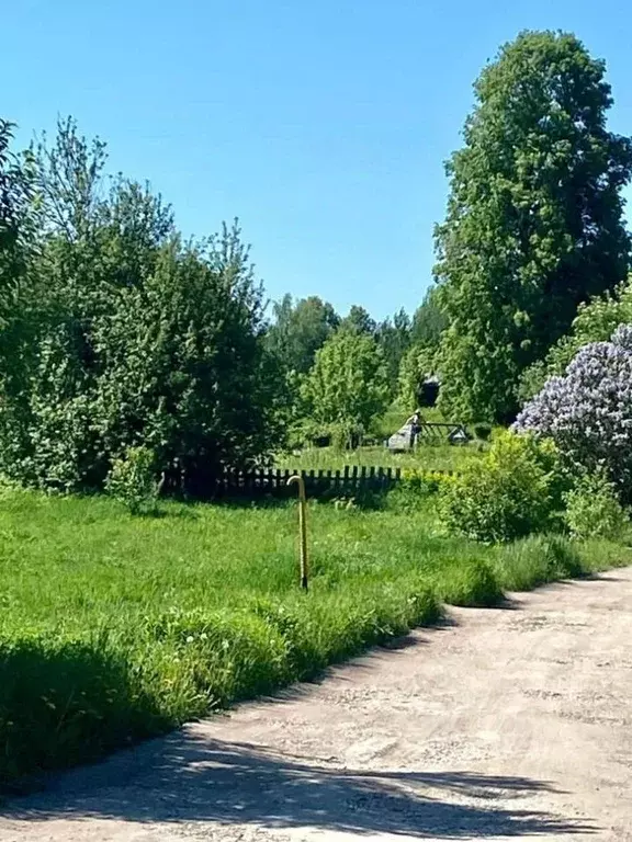 Участок в Кировская область, Слободской муниципальный район, Ленинское ... - Фото 2
