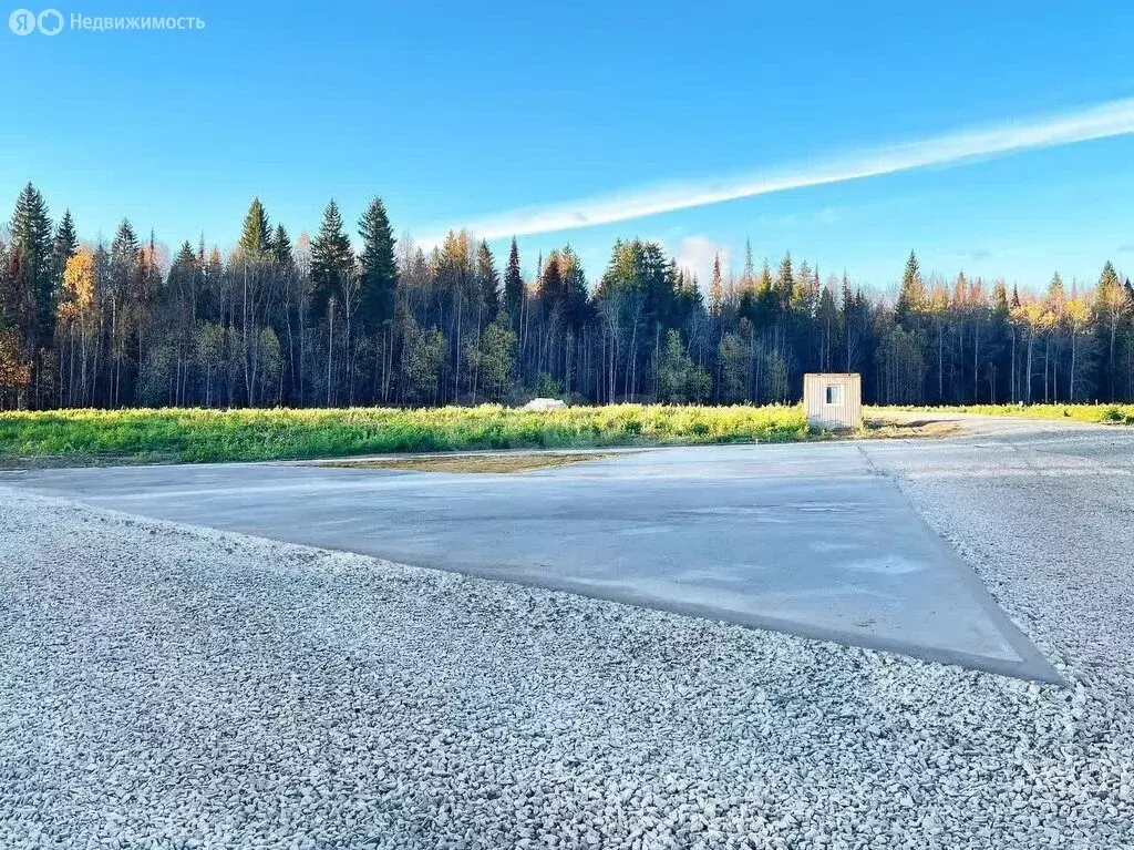 Участок в Пермский муниципальный округ, деревня Софроны (8 м) - Фото 0