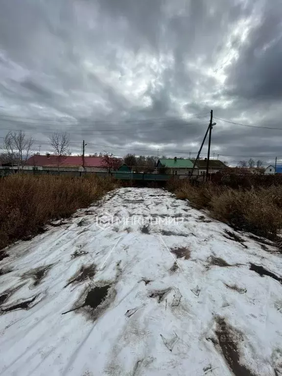 Участок в Челябинская область, Красноармейский район, Лазурненское ... - Фото 1