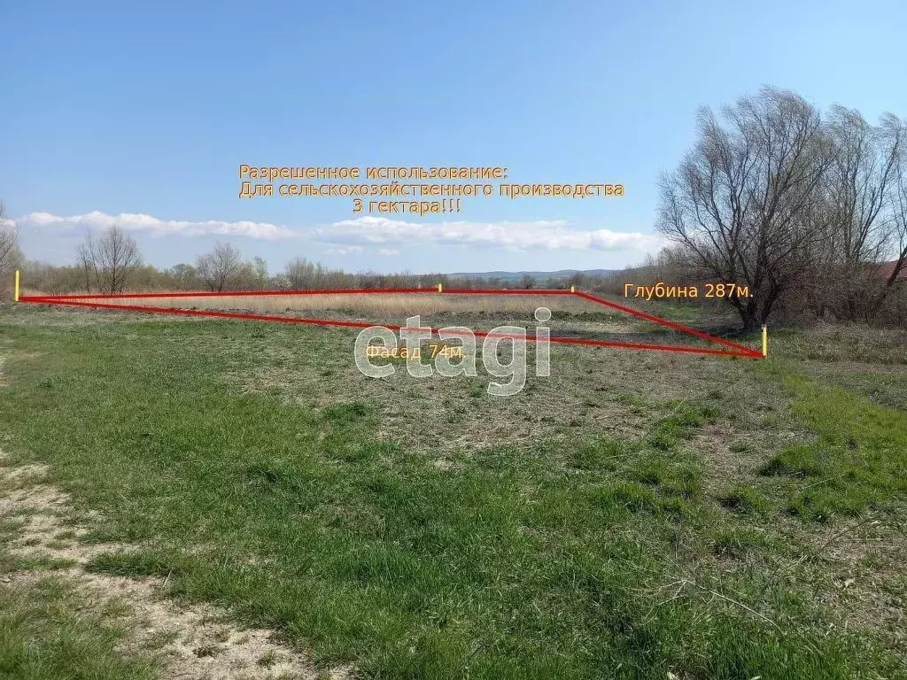 Участок в Краснодарский край, Анапа муниципальный округ, Рассвет хут. ... - Фото 1