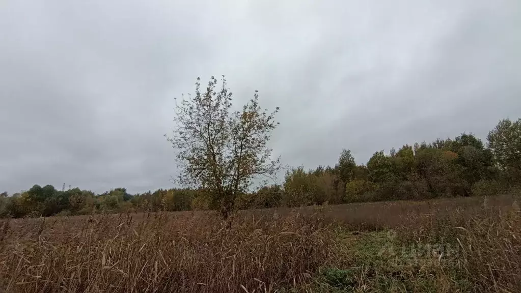 Участок в Московская область, Шатура  (30.0 сот.) - Фото 1