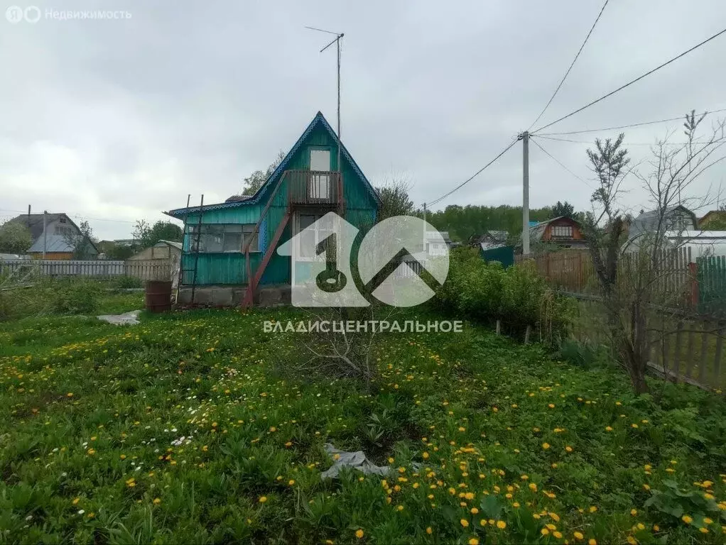 Дом в Мошковский район, НСТ Овощевод, Берёзовая улица, 291 (32 м) - Фото 0