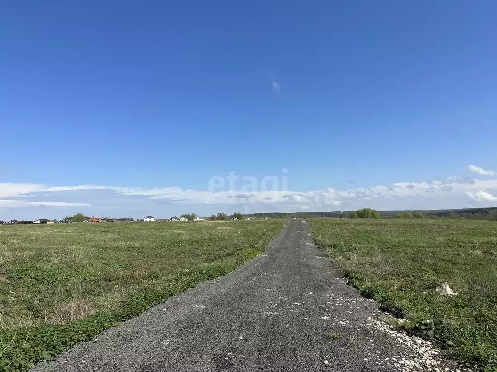 Участок в Нижегородская область, Богородский муниципальный округ, д. ... - Фото 0