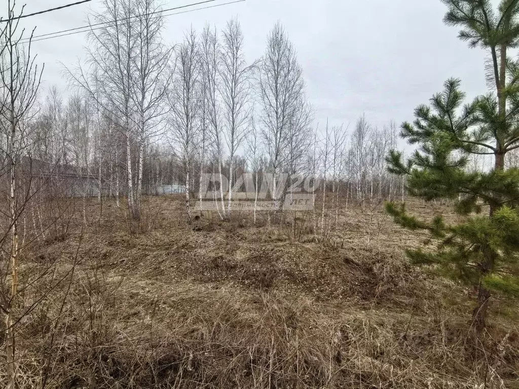 Участок в Челябинская область, Сосновский район, Кременкульское с/пос, ... - Фото 0