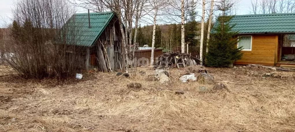 Участок в Карелия, Прионежский район, Деревянское с/пос ул. Сосновая ... - Фото 1