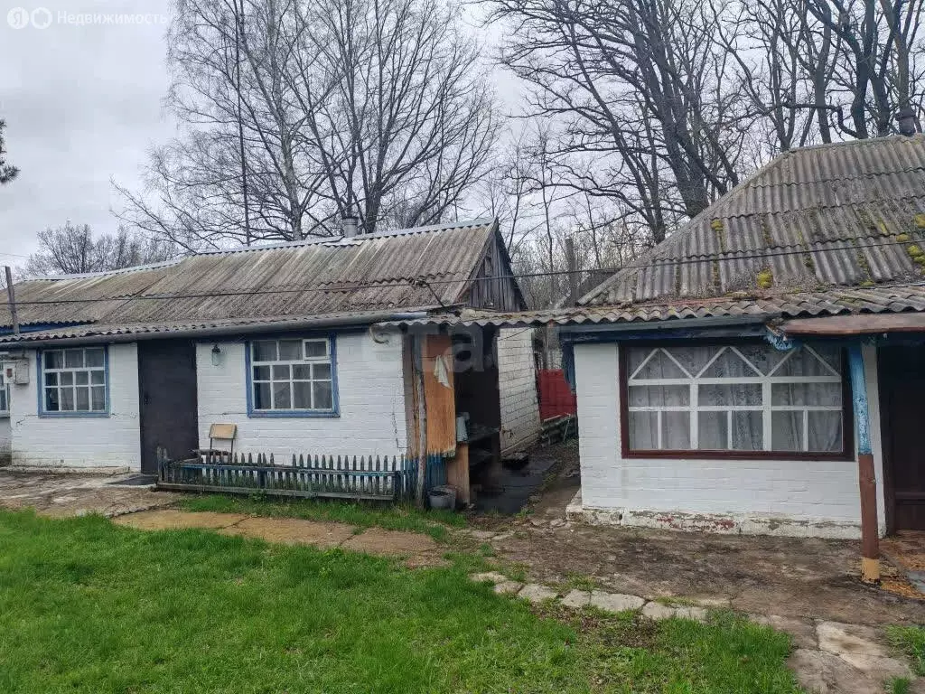 Дом в село Николаевка, Светлая улица (51.1 м) - Фото 2