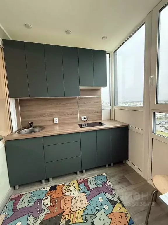 Студия Санкт-Петербург просп. Ветеранов, 173к1 (25.0 м) - Фото 2