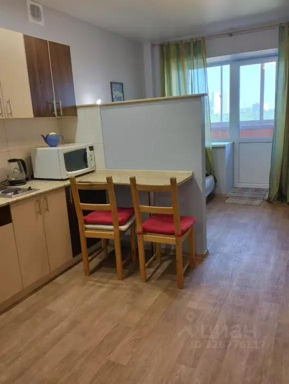 Студия Новосибирская область, Новосибирск ул. Котовского, 3/2 (24.1 м) - Фото 1