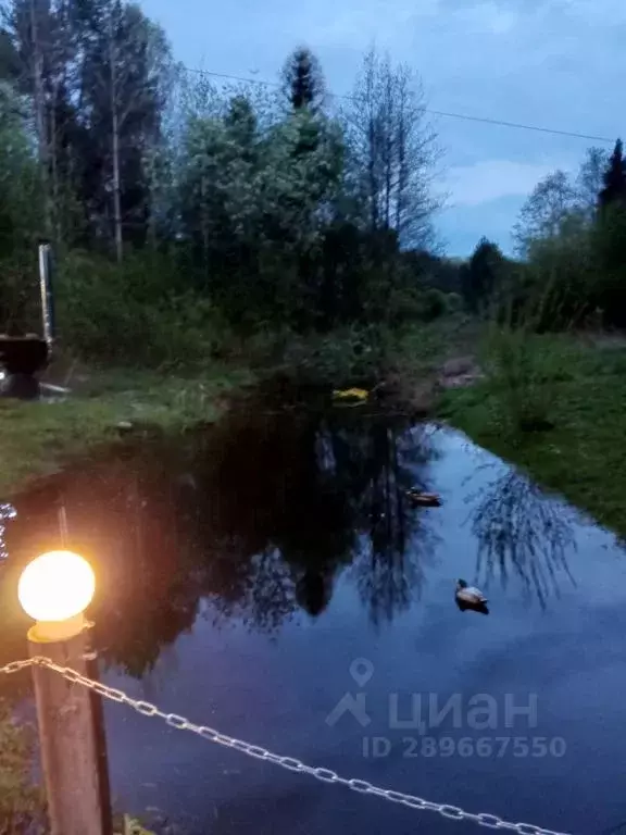 Дом в Кировская область, Киров городской округ, с. Бахта ул. ... - Фото 1