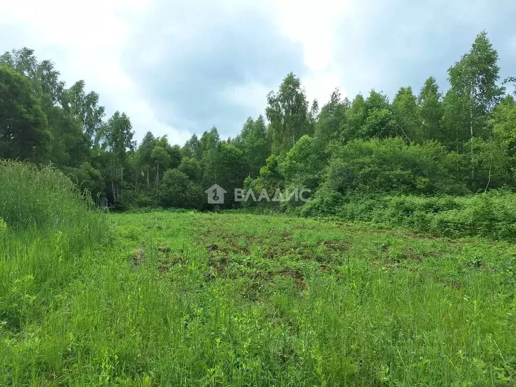 Участок в Калужская область, Ферзиковский муниципальный округ, ... - Фото 2