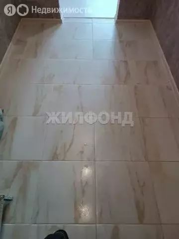 Квартира-студия: Новосибирск, улица Виктора Шевелёва, 38/1 (38.3 м) - Фото 1