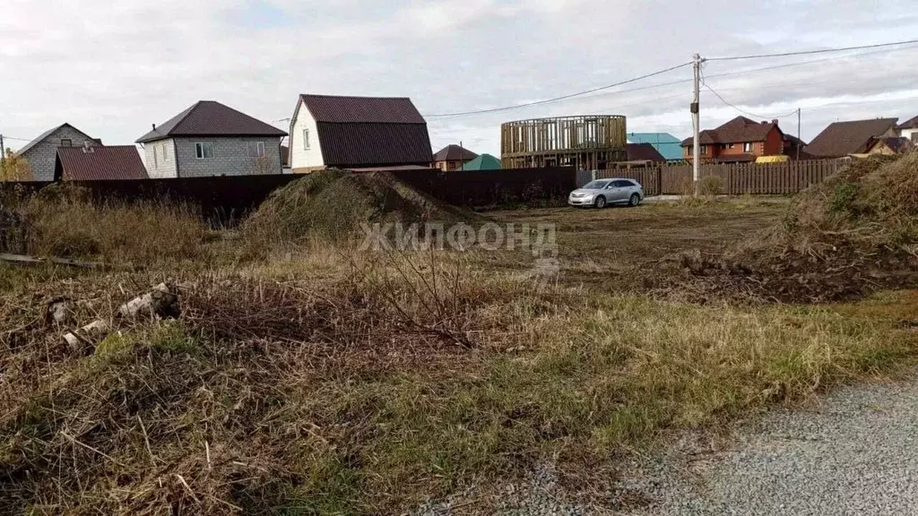 Участок в Новосибирская область, Новосибирский район, Каменский ... - Фото 1