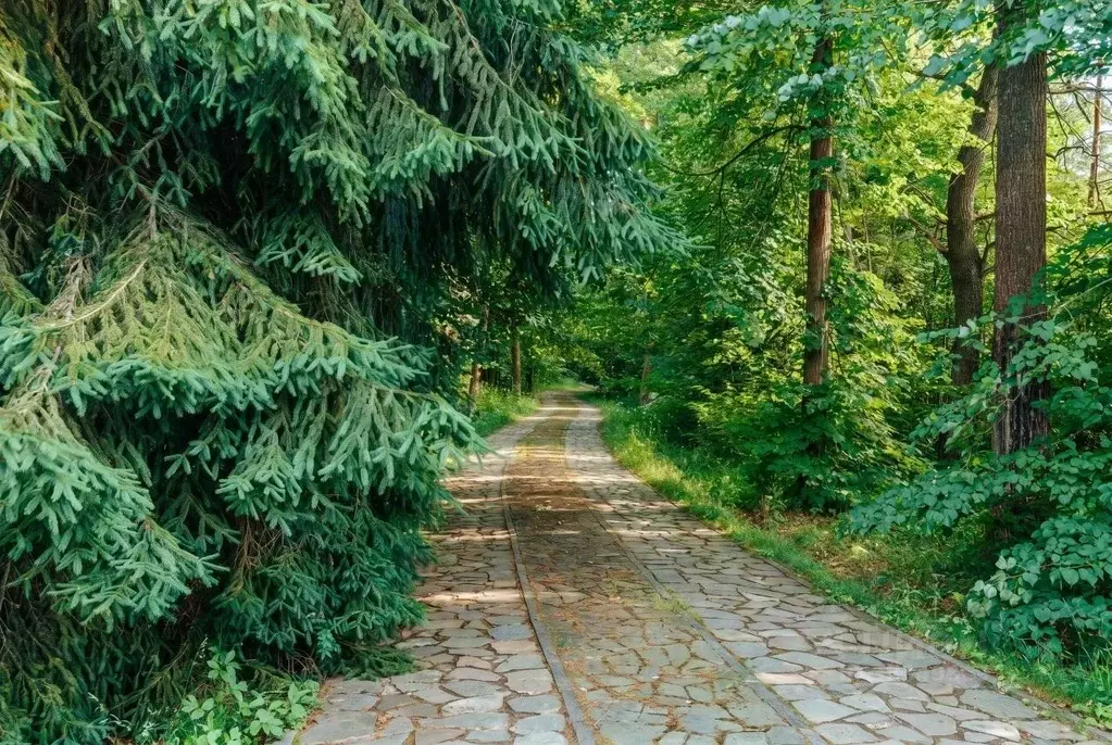 Участок в Московская область, Одинцовский городской округ, пос. ... - Фото 2