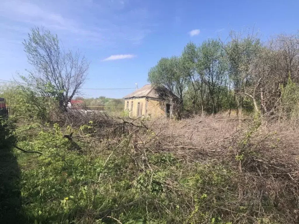 Участок в Белгородская область, Белгородский муниципальный округ, ... - Фото 1