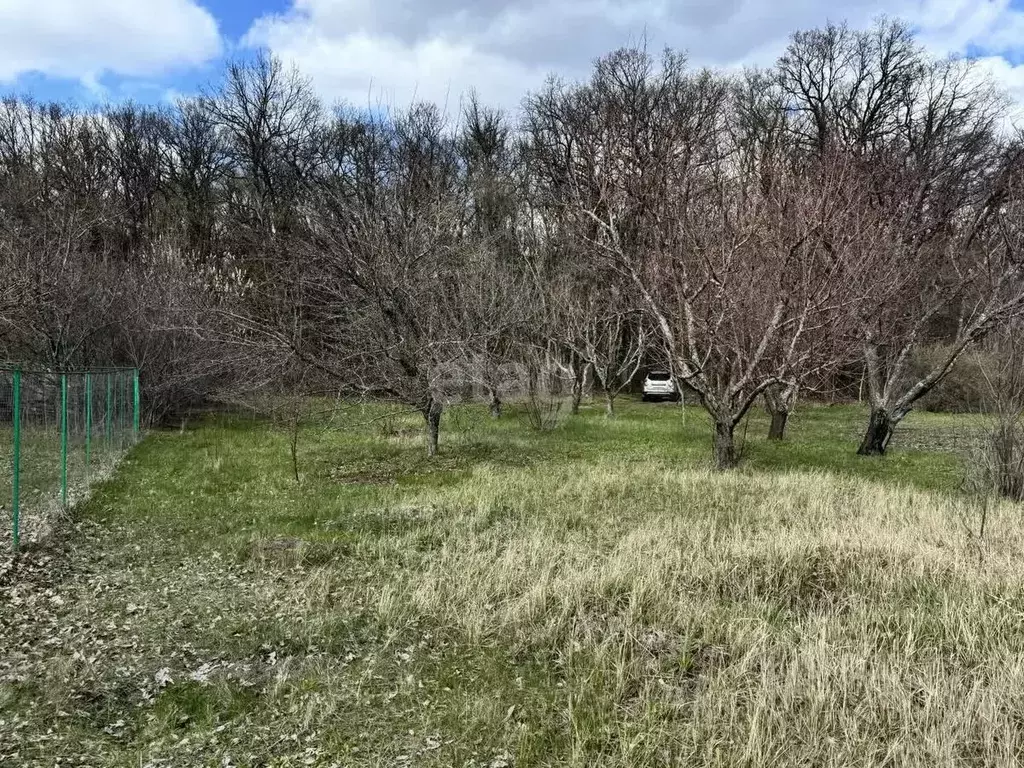 Участок в Белгородская область, Белгородский муниципальный округ, с. ... - Фото 1