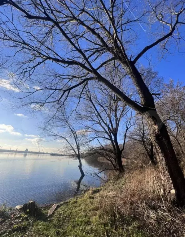 Участок в Московская область, Коломна городской округ, с. Коробчеево ... - Фото 1