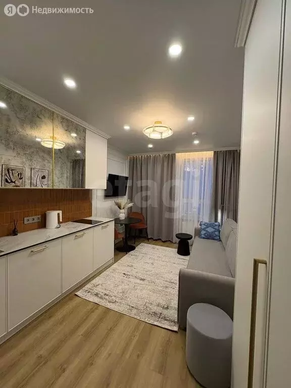 Квартира-студия: Санкт-Петербург, Измайловский бульвар, 1к2 (20 м) - Фото 1