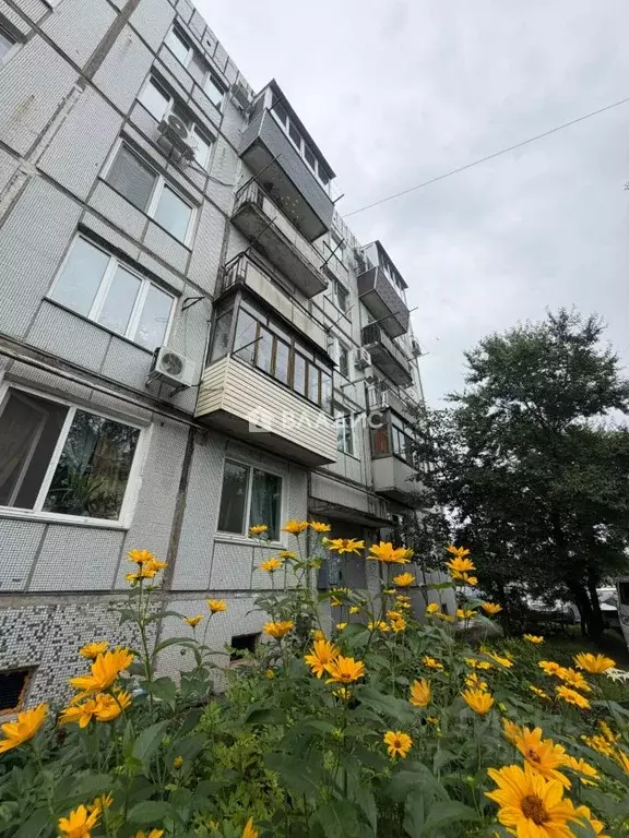 1-к кв. Приморский край, Уссурийск ул. Попова, 116 (33.0 м) - Фото 1