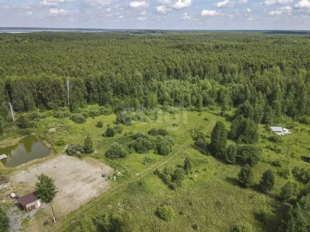 Участок в Тюменская область, Нижнетавдинский район, Сундукуль СНТ  ... - Фото 1