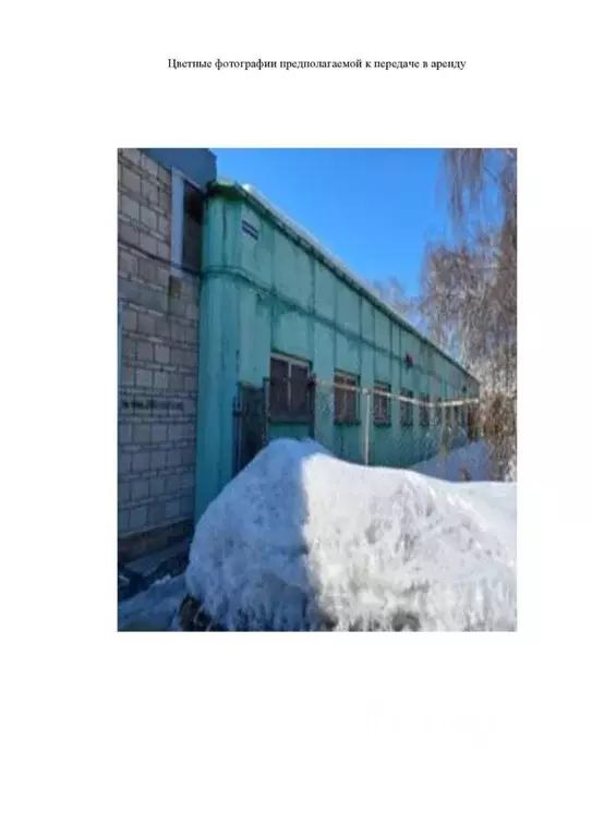 Помещение свободного назначения в Новосибирская область, Новосибирский ... - Фото 0