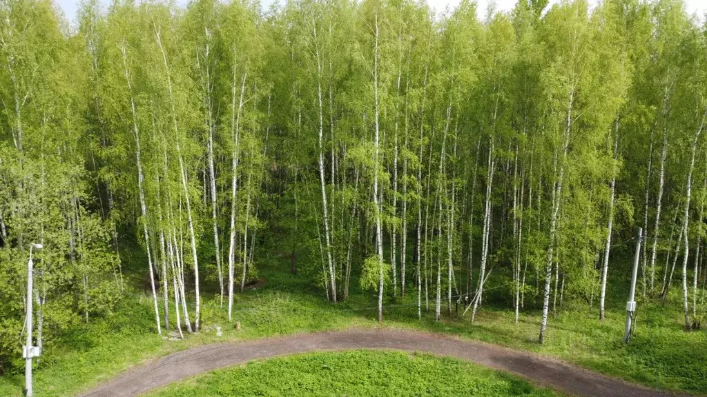 Участок в Московская область, Раменский городской округ, Великие Озера ... - Фото 1