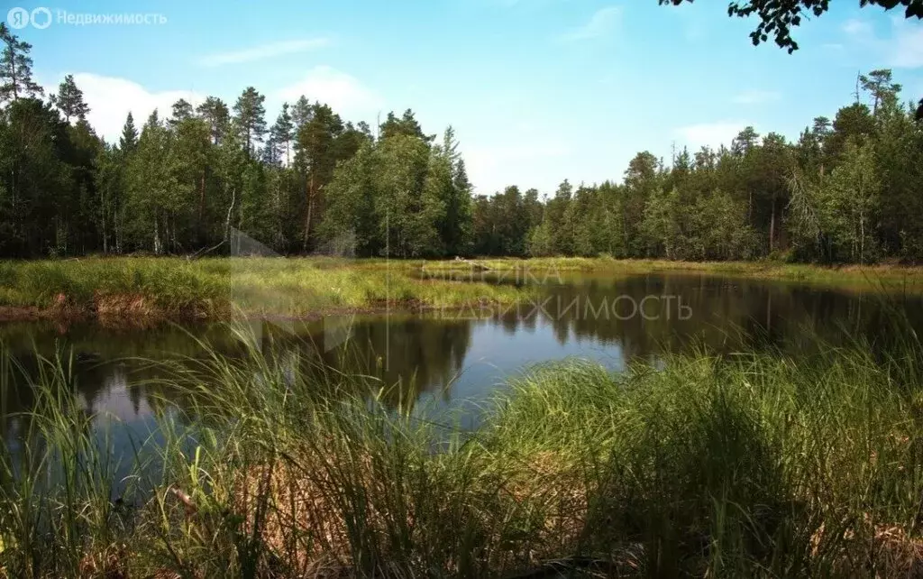 Дом в Нижнетавдинский район, село Антропово (30 м) - Фото 0