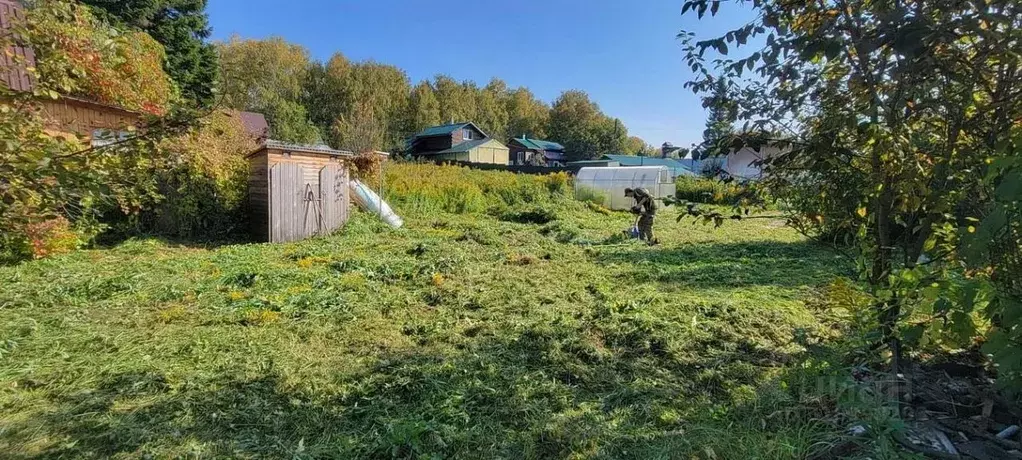 Дом в Новосибирская область, Новосибирский район, Барышевский ... - Фото 1
