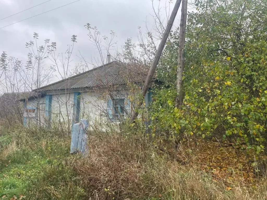 Дом в Алтайский край, Топчихинский район, с. Сидоровка Садовая ул. (46 ... - Фото 1