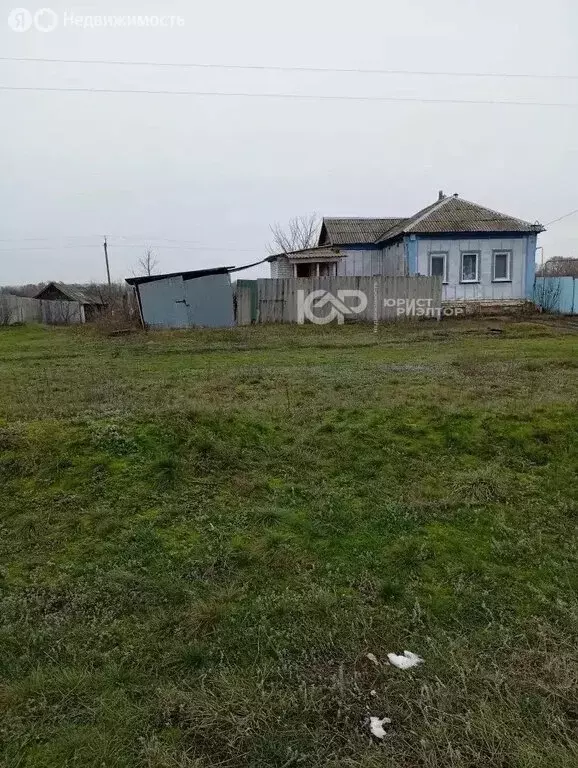 Дом в Воронежская область, Репьёвское сельское поселение, хутор ... - Фото 2