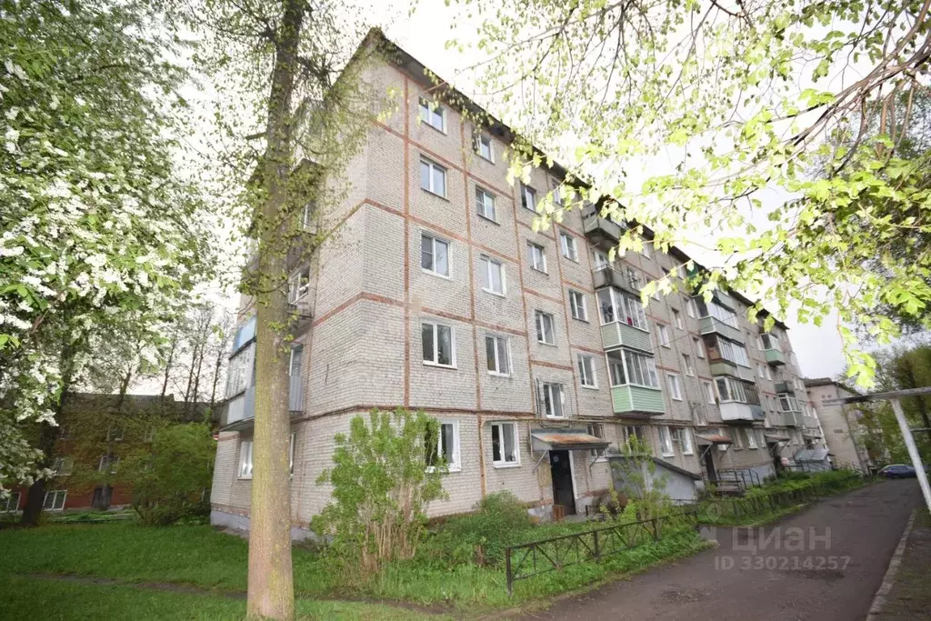 1-к кв. Владимирская область, Кольчугино ул. Чапаева, 1Б (31.01 м) - Фото 1