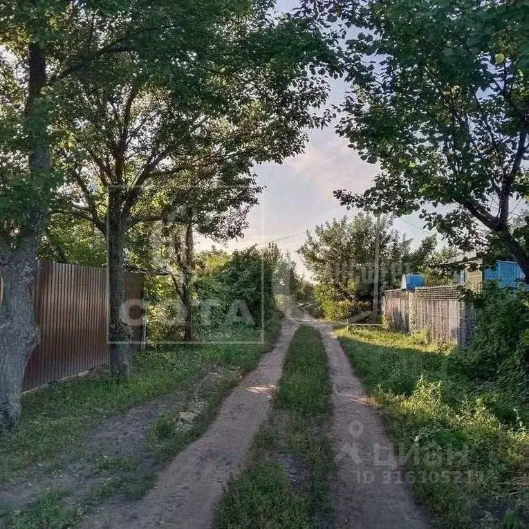 Дом в Воронежская область, Воронеж Радуга СНТ, ул. Мечтателей (25 м) - Фото 0
