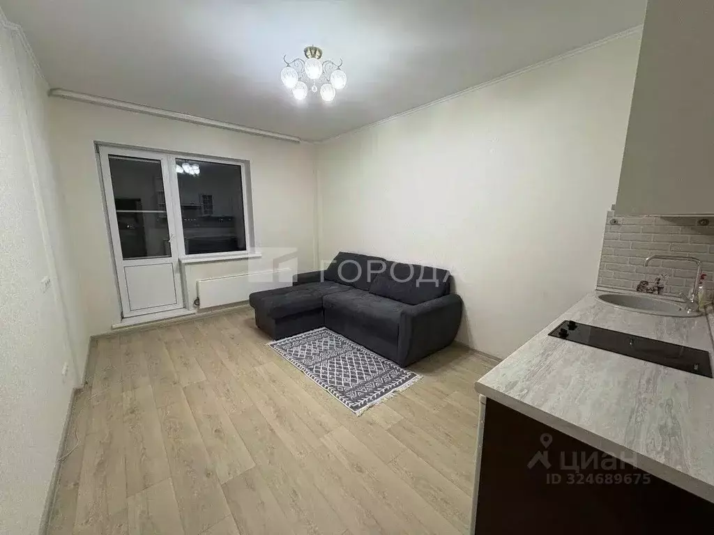 Студия Новосибирская область, Новосибирск Приморская ул., 24 (24.9 м) - Фото 2