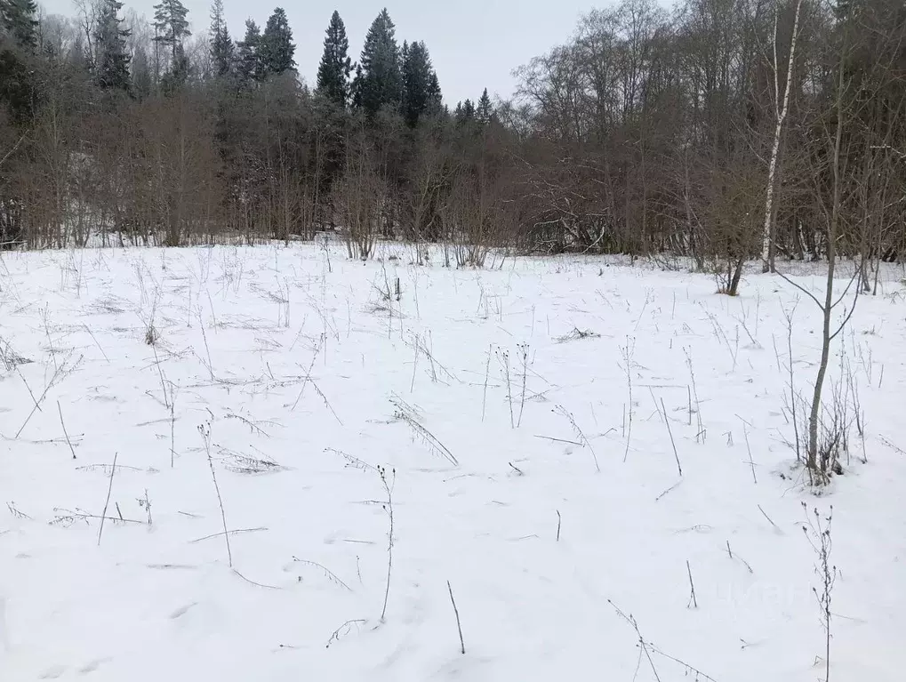 Участок в Московская область, Клин городской округ, д. Ногово  (13.17 ... - Фото 1