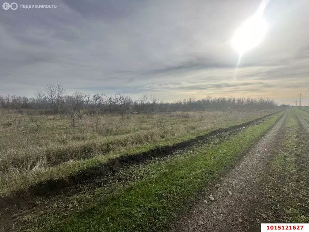 Участок в станица Старомышастовская, улица Южные Сады, 21 (15 м) - Фото 1