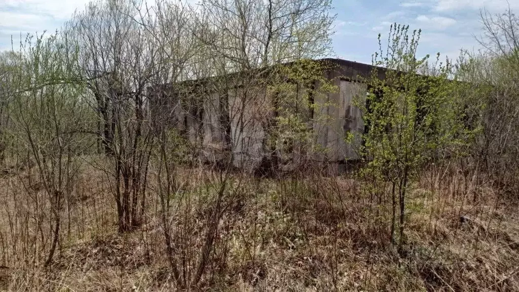 Участок в Приморский край, Надеждинский район, пос. Соловей-Ключ ул. ... - Фото 0