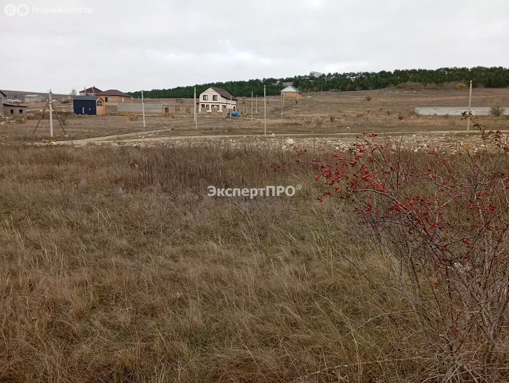 Участок в Трудовское сельское поселение, село Строгоновка, улица ... - Фото 0