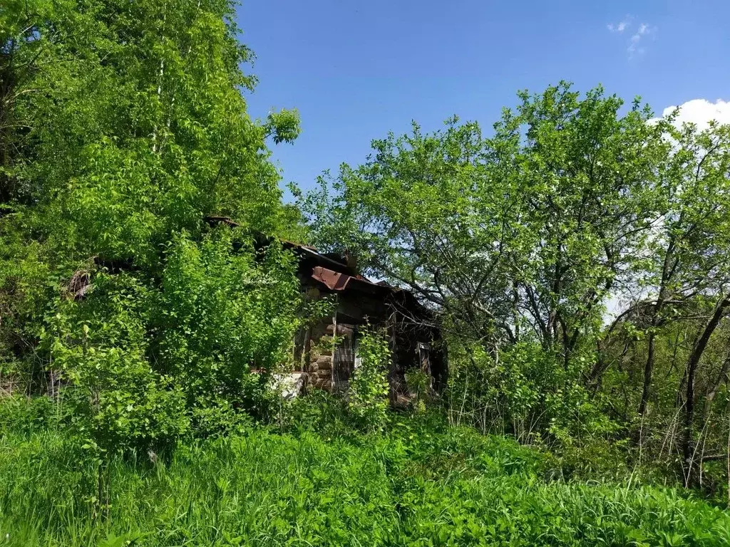 Участок в Владимирская область, Владимир ул. Красная Горка, 1 (8.0 ... - Фото 0