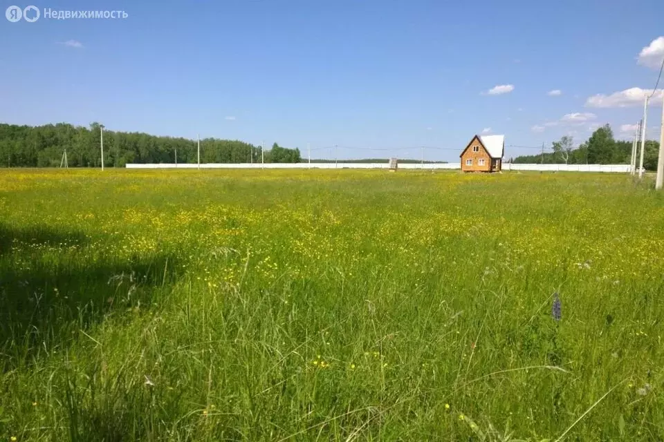 Участок в Мясниковский район, село Большие Салы (8 м) - Фото 0