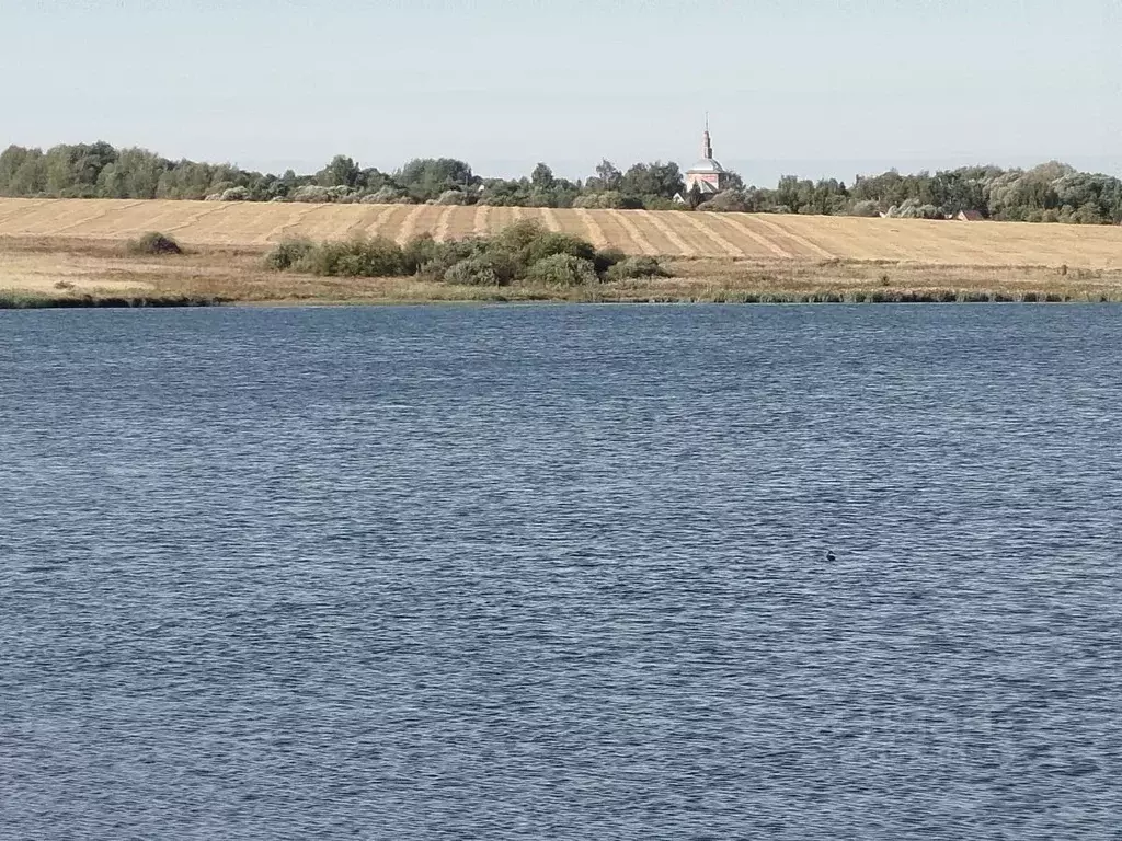 Участок в Владимирская область, Суздальский район, Селецкое ... - Фото 1