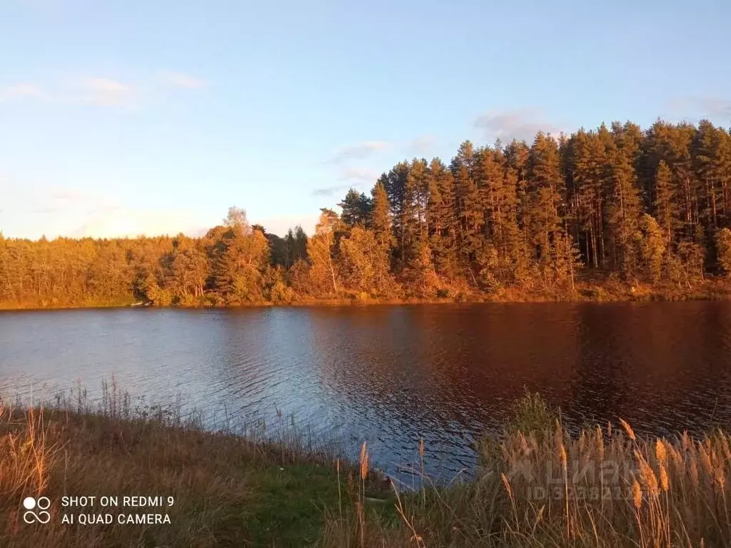 Участок в Тверская область, Кашинский муниципальный округ, д. Рагузино ... - Фото 1