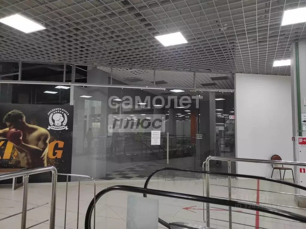 Торговая площадь в Ивановская область, Иваново Лежневская ул., 117 (46 ... - Фото 2