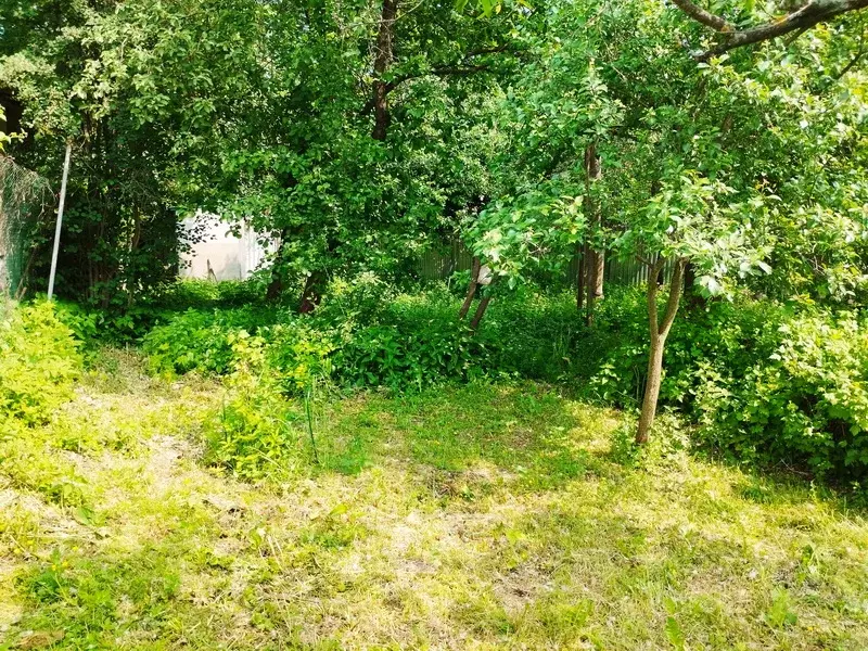 Продается участок в д. Коргашино - Фото 1