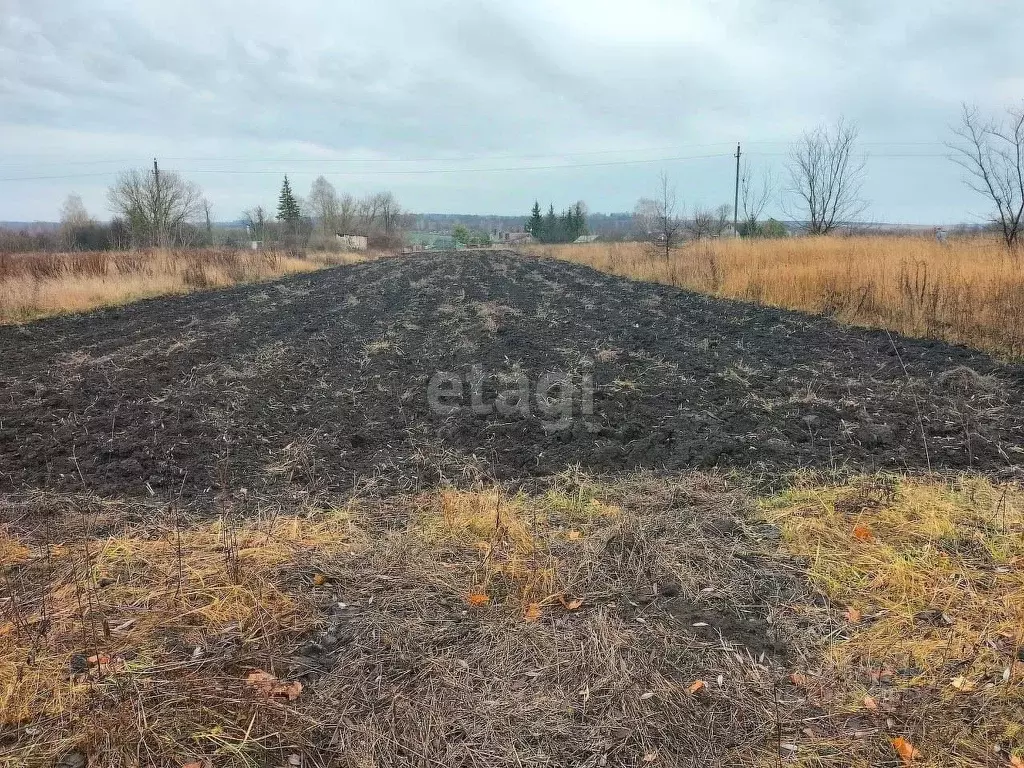 Участок в Орловская область, Орловский район, д. Нижняя Калиновка ул. ... - Фото 0