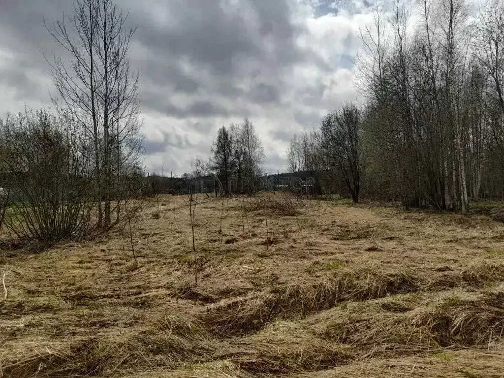 Продается участок в д. Потаповское - Фото 1