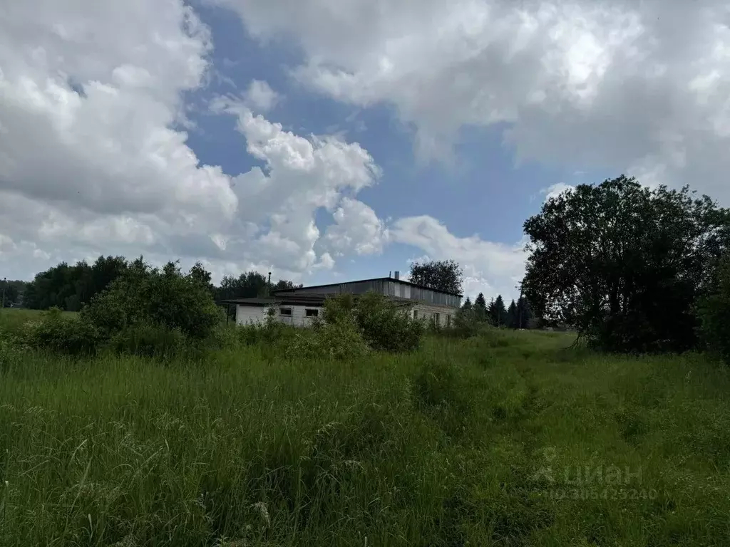 Дом в Орловская область, Болховский район, Злынское с/пос, пос. ... - Фото 2