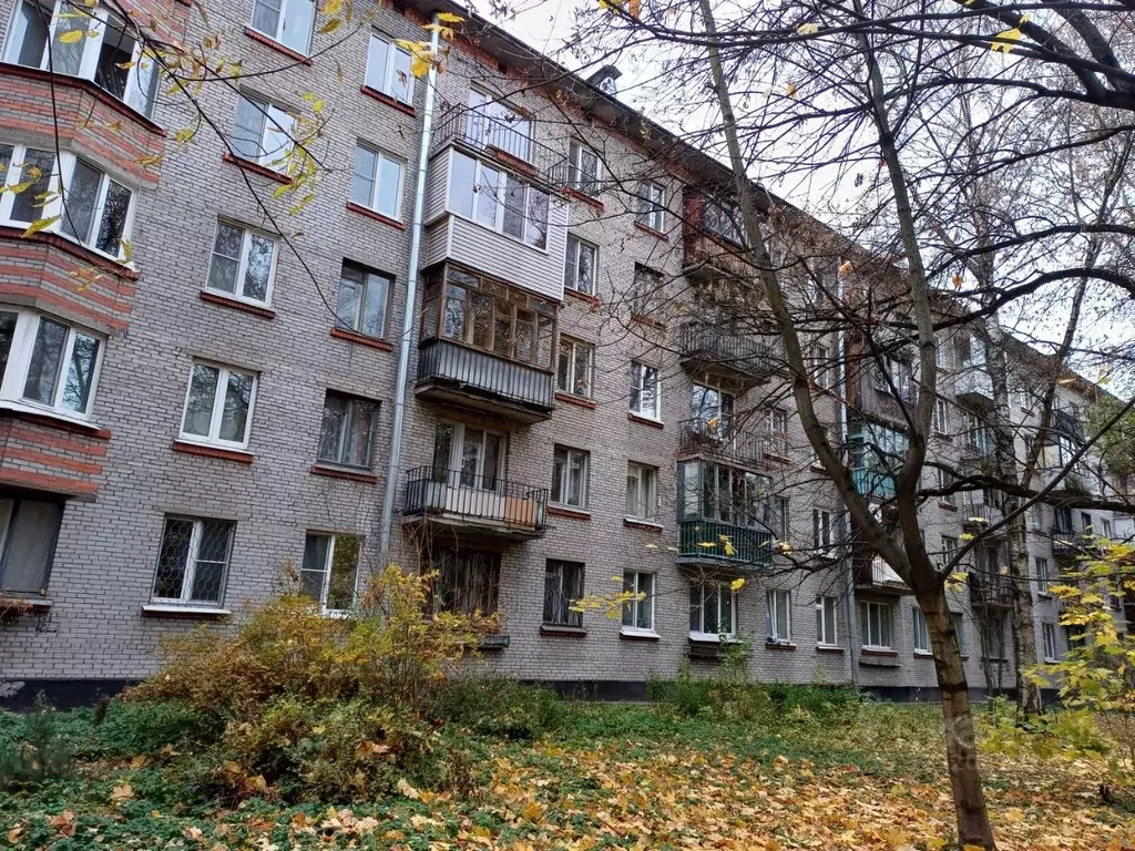 2-к кв. Санкт-Петербург просп. Народного ополчения, 129 (50.6 м) - Фото 1